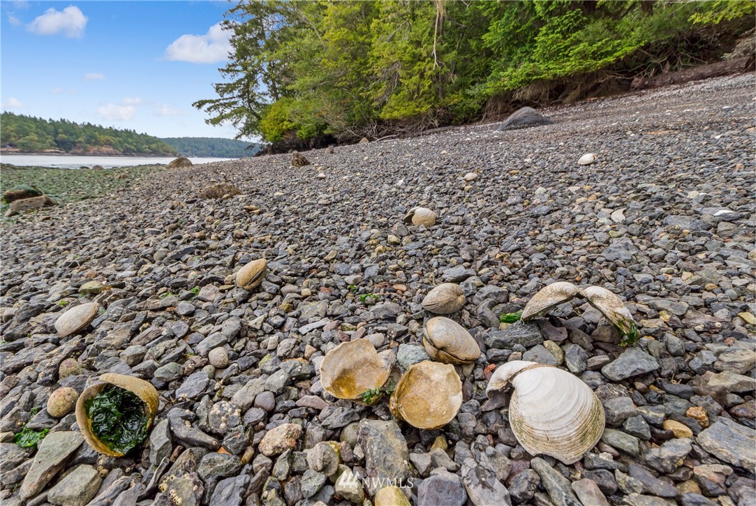111 Tides Run Road Shaw Island, WA 98286 - Photo 9 of 25 Gallery Image 9