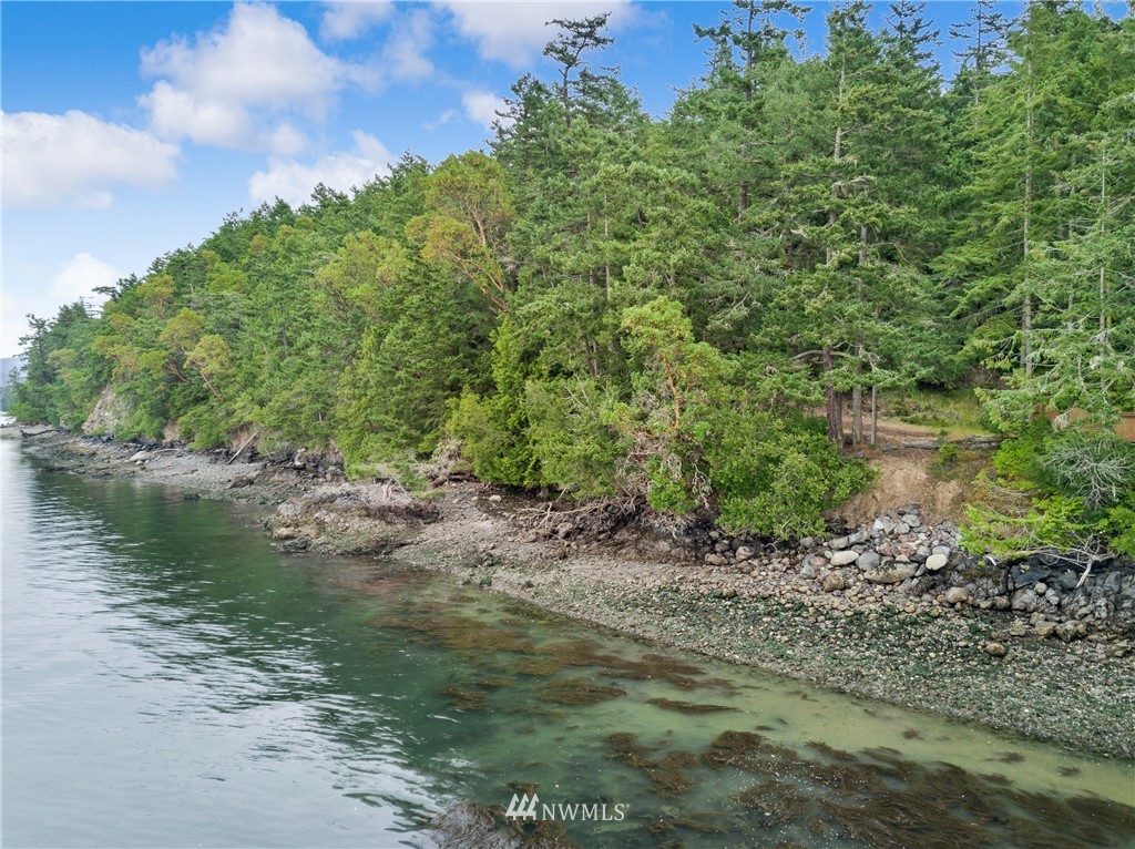 111 Tides Run Road Shaw Island, WA 98286 - Photo 10 of 25 Gallery Image 10