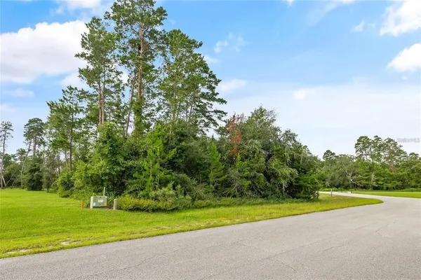 $60,000 | 13615 Gopher Pond Court, Hudson, FL 34669