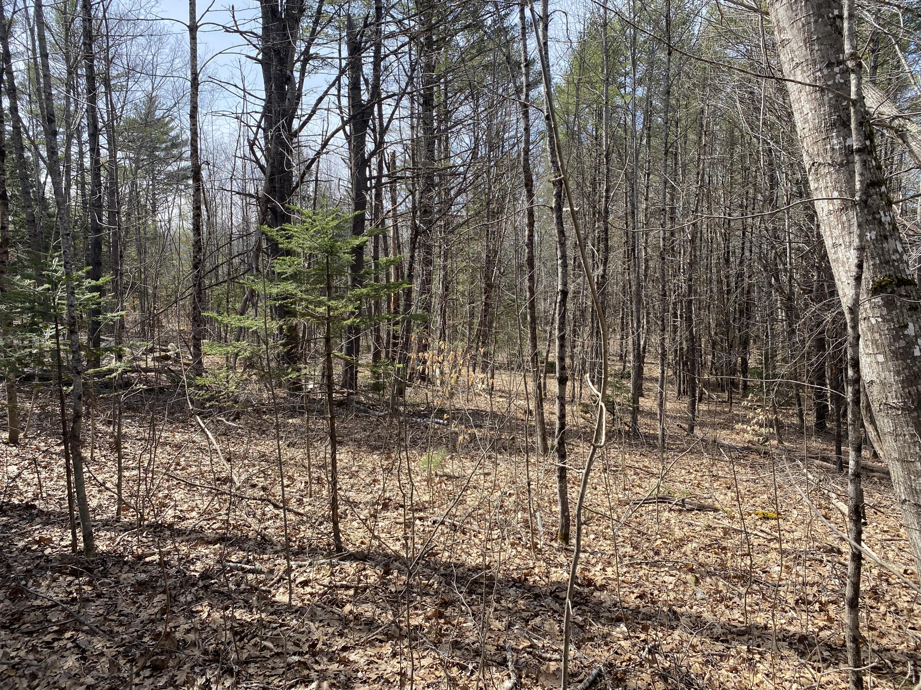 294 Gore Road Palermo, ME 04354 - Photo 11 of 17 IMG_3483