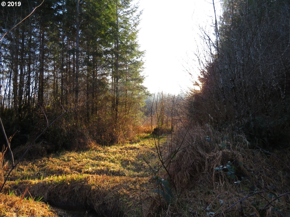 Hokanson Road Elma, WA 98541 - Photo 1 of 19 Gallery Image 1