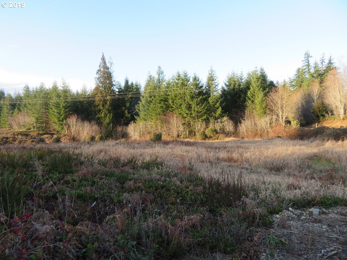 Hokanson Road Elma, WA 98541 - Photo 14 of 19 Gallery Image 14