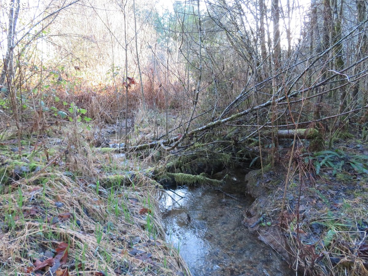 Hokanson Road Elma, WA 98541 - Photo 3 of 19 Gallery Image 3