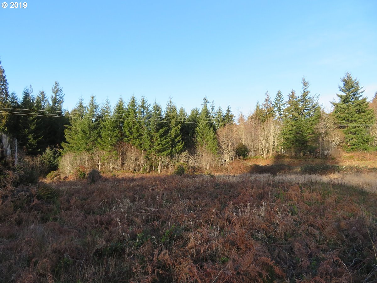 Hokanson Road Elma, WA 98541 - Photo 6 of 19 Gallery Image 6