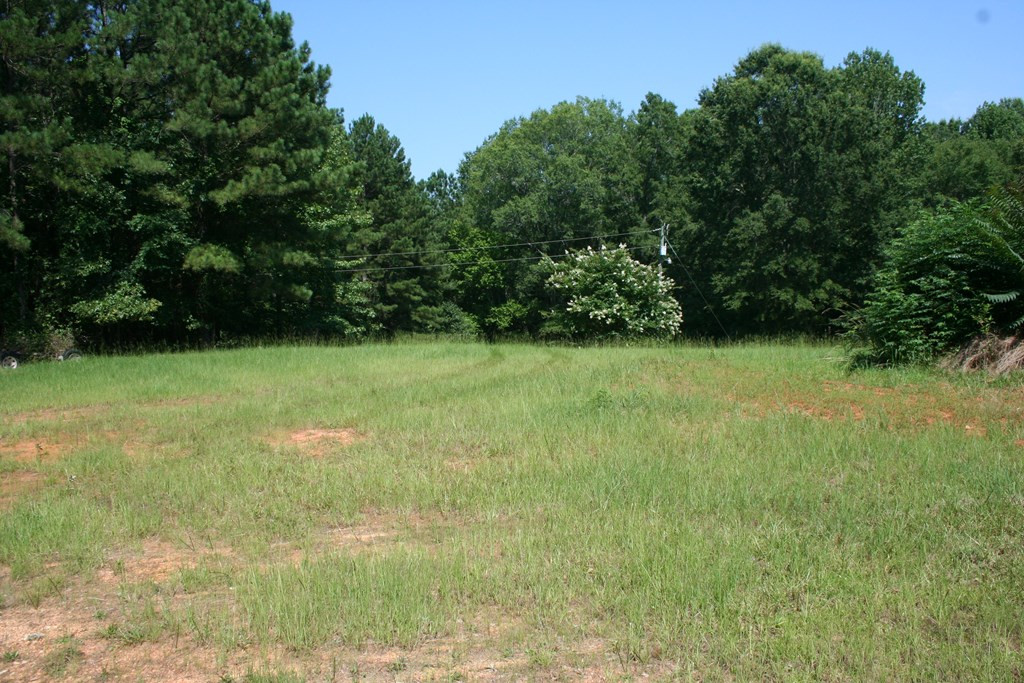 1101 Colvin - Kennedy Road Lincolnton, GA 30817 - Photo 6 of 15 Gallery Image 6