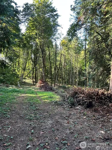 a view of outdoor space and trees