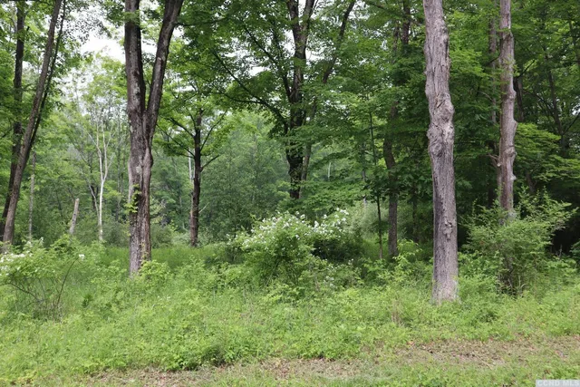 a view of a forest with trees and houses