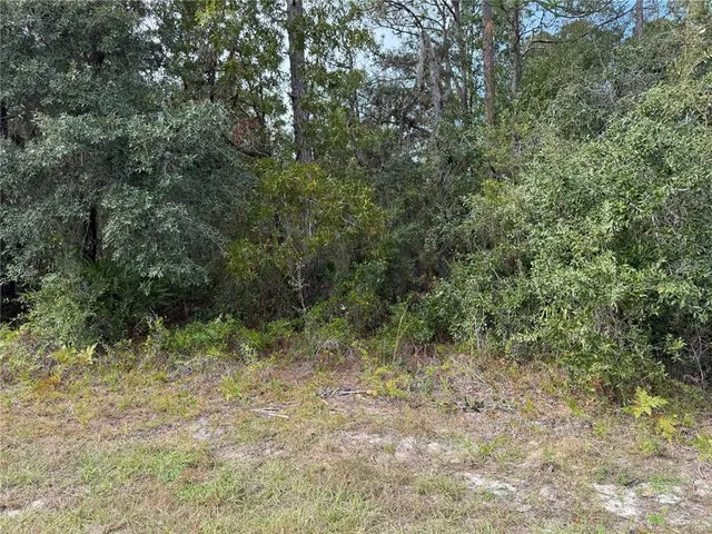 a view of a yard with a tree