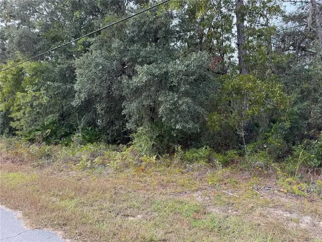 $54,900 | 2830 South Bolton Avenue, Homosassa, FL 34448
