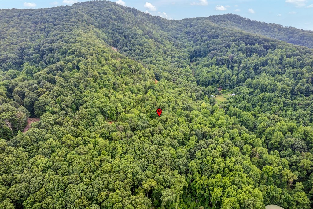 0 Green Forest Road Cosby, TN 37722 - Photo 21 of 35