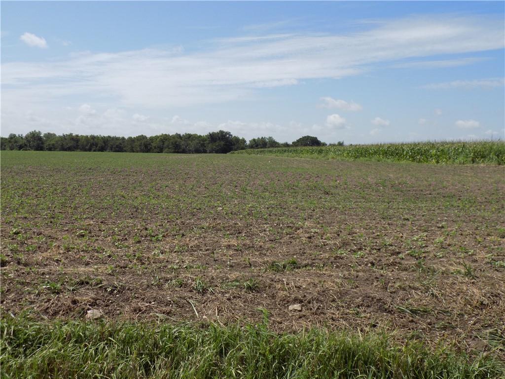 0 Southeast 900 Road Kincaid, KS 66039 - Photo 19 of 20