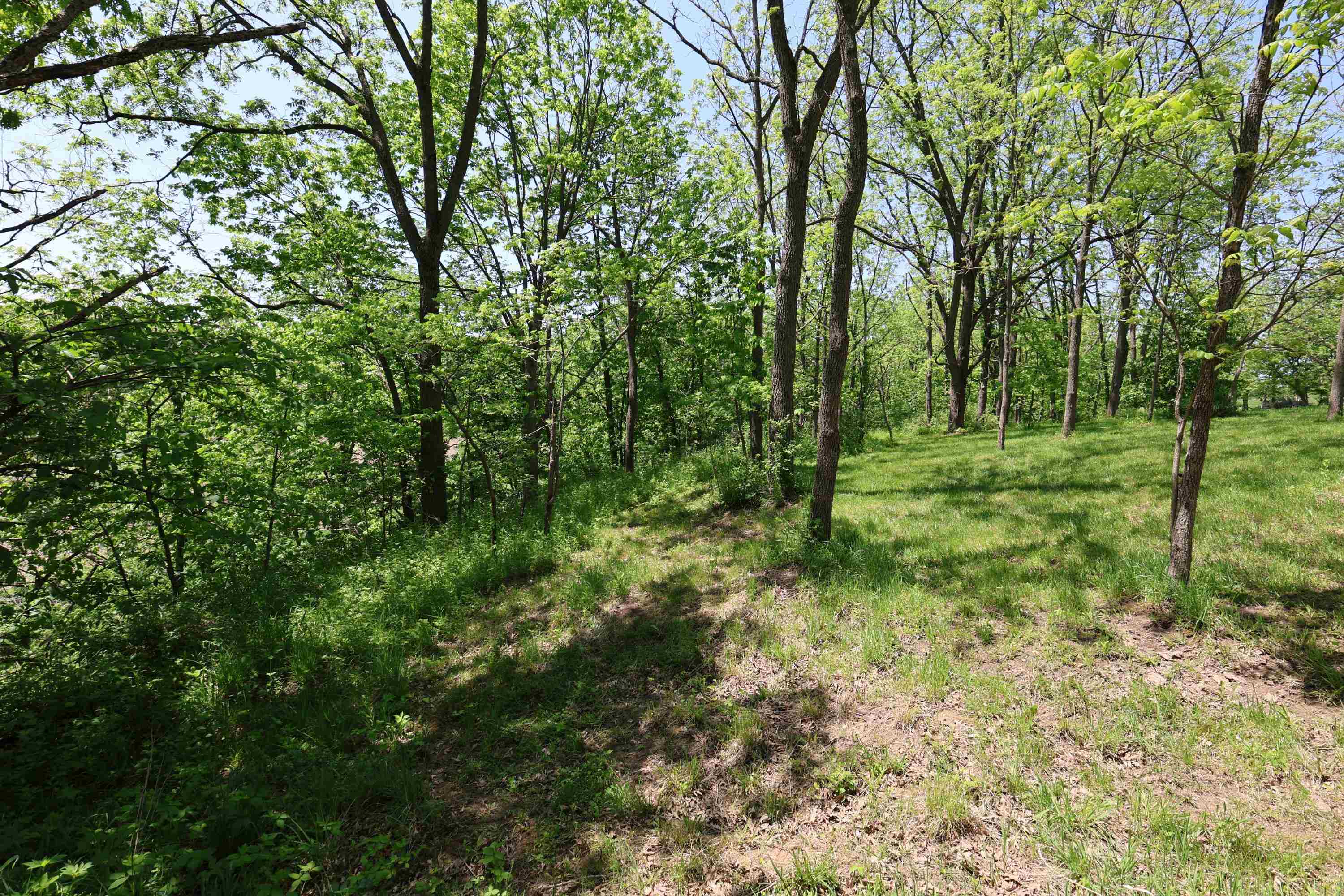 7469 Grant River Road Cassville, WI 53806 - Photo 58 of 62