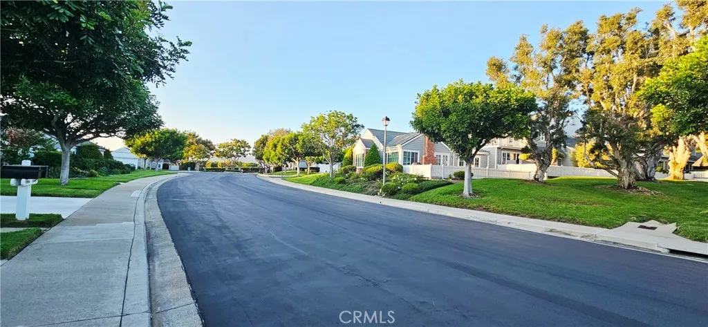 33925 Cape Cove Dana Point, CA 92629 - Photo 49 of 50 a view of a park with plants and trees
