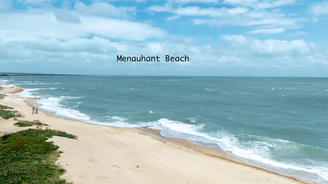 a view of a refrigerator with a yard