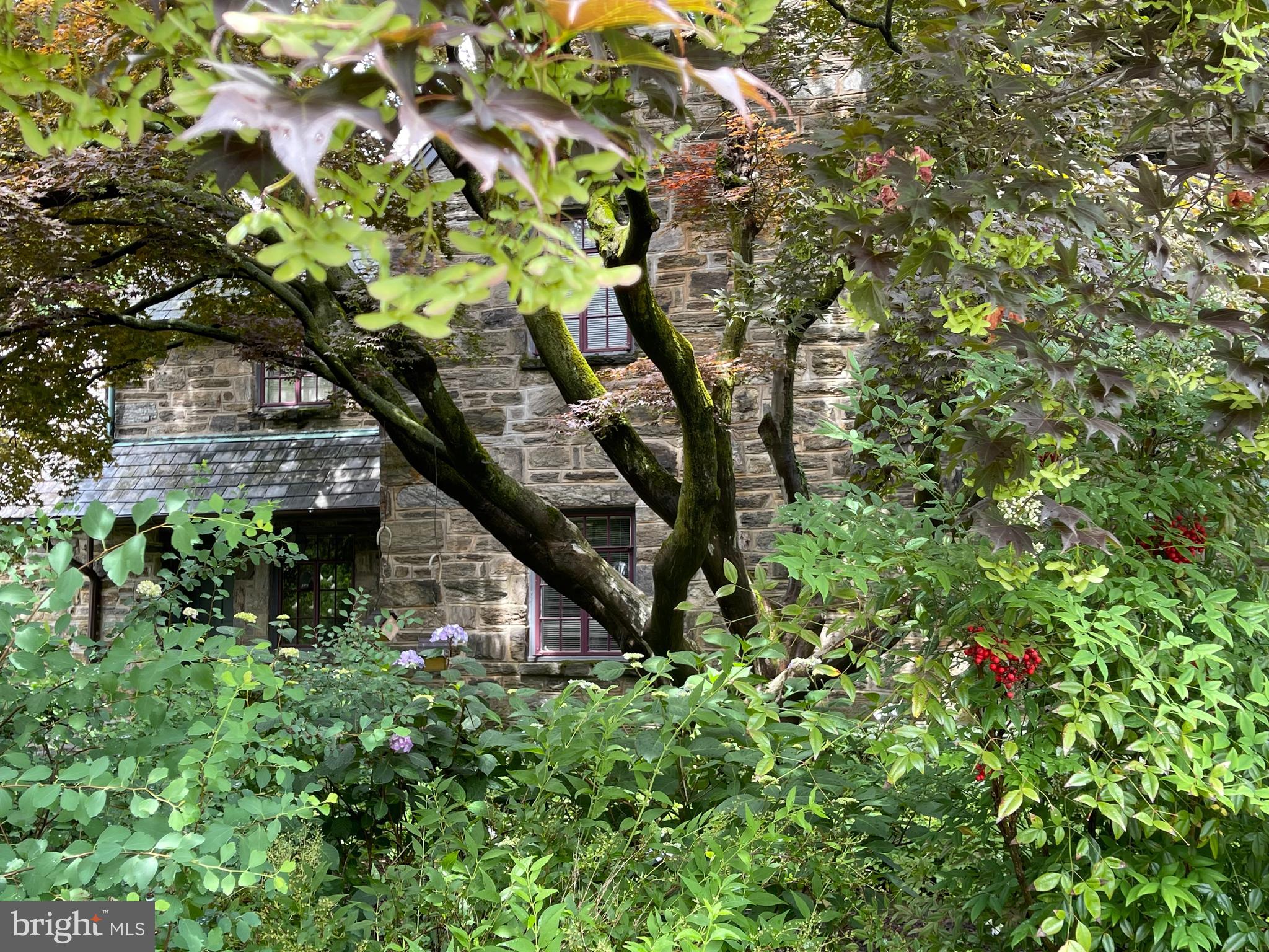 1402 Pepper Road Jenkintown, PA 19046 - Photo 42 of 45 Side garden