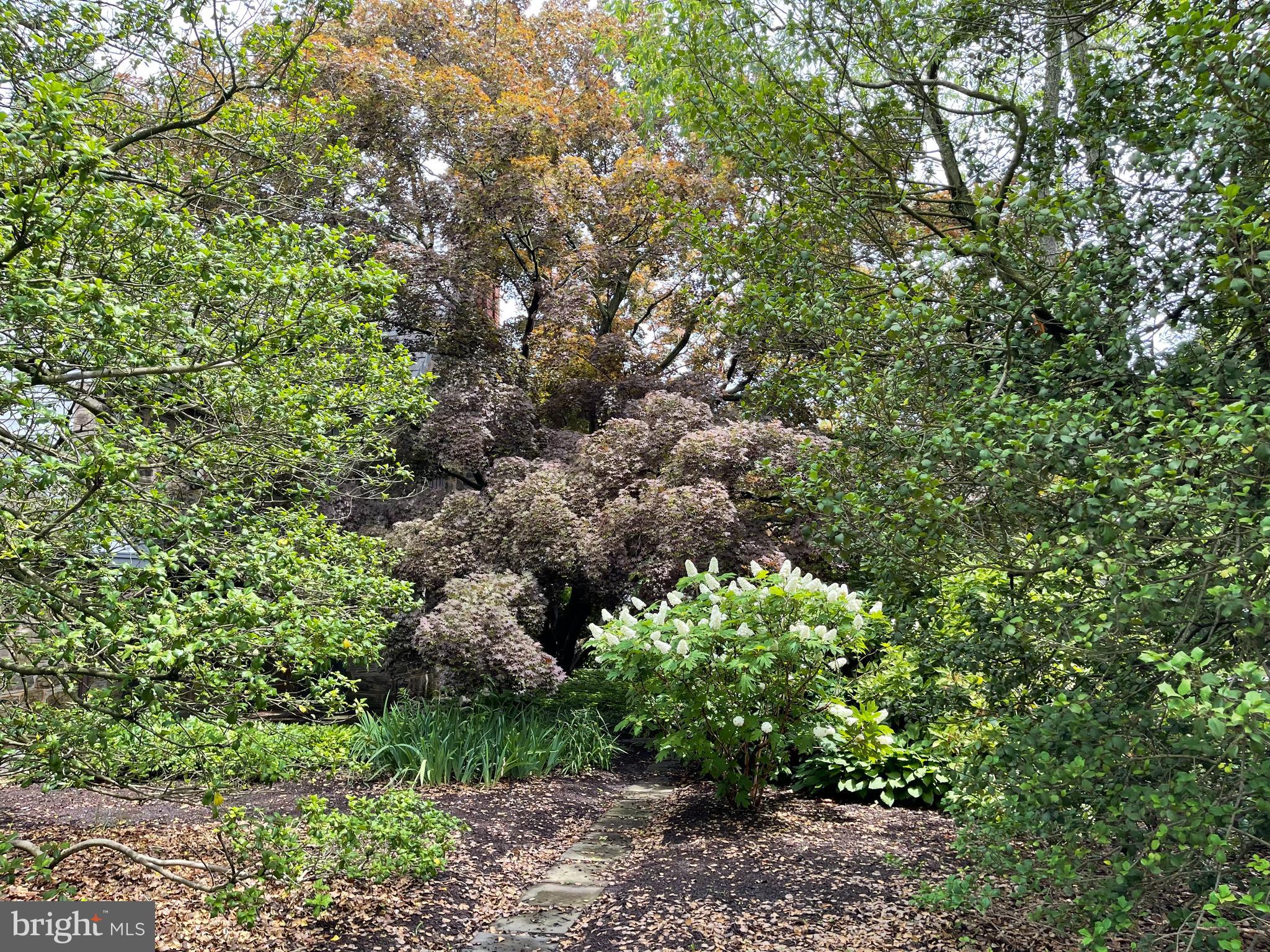 1402 Pepper Road Jenkintown, PA 19046 - Photo 44 of 45 Garden
