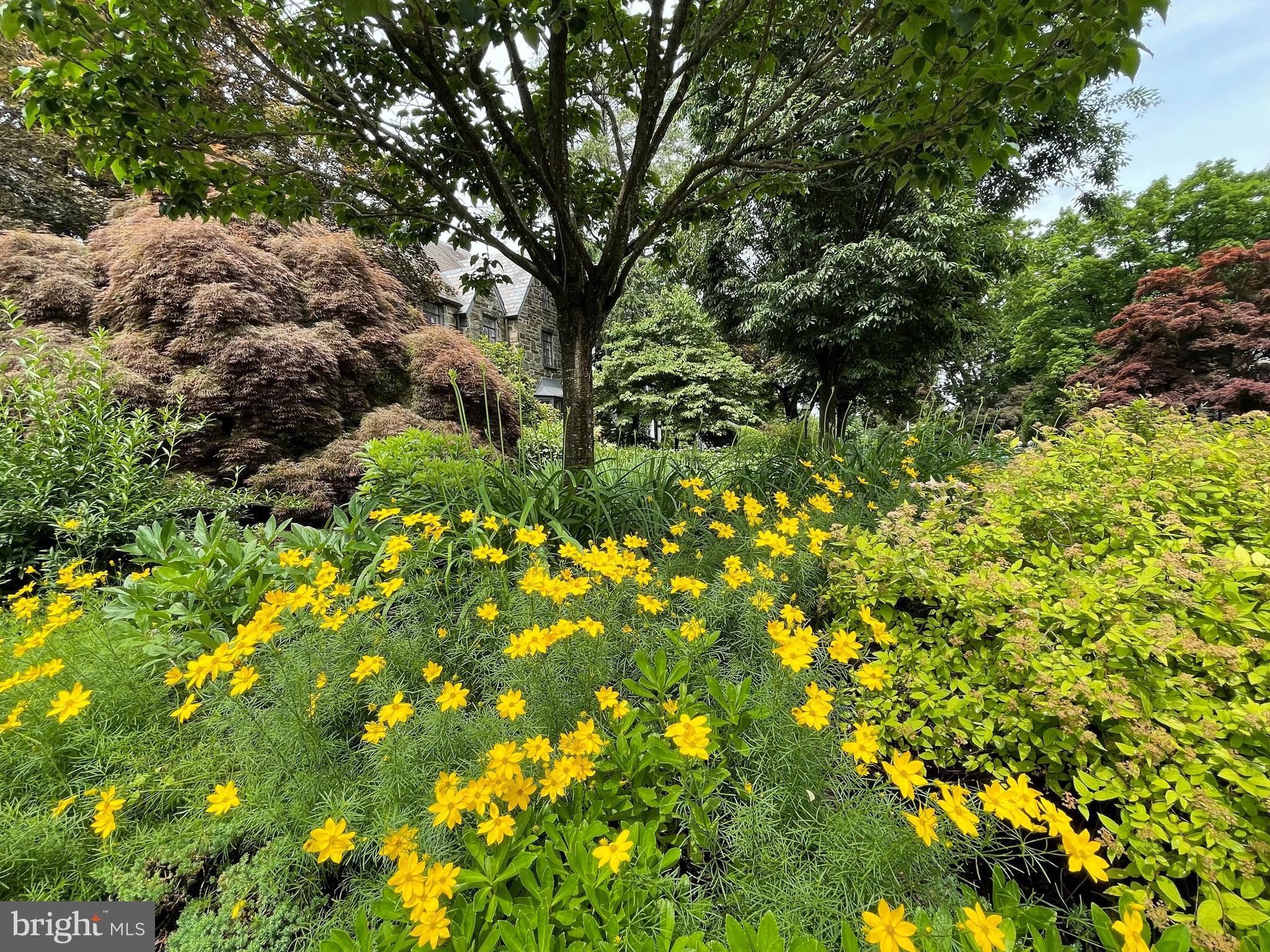 1402 Pepper Road Jenkintown, PA 19046 - Photo 45 of 45 Garden