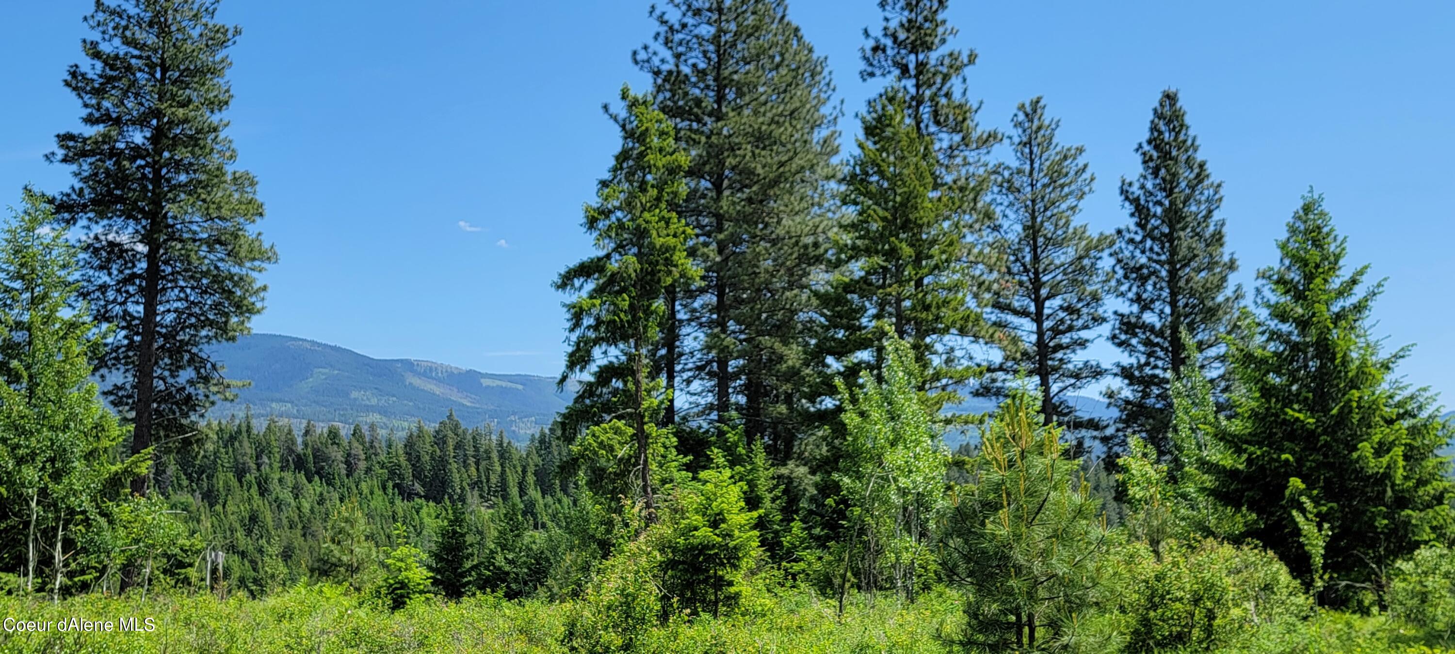 6 Bonners Ferry Naples, ID 83847 - Photo 7 of 22 20230530_131020