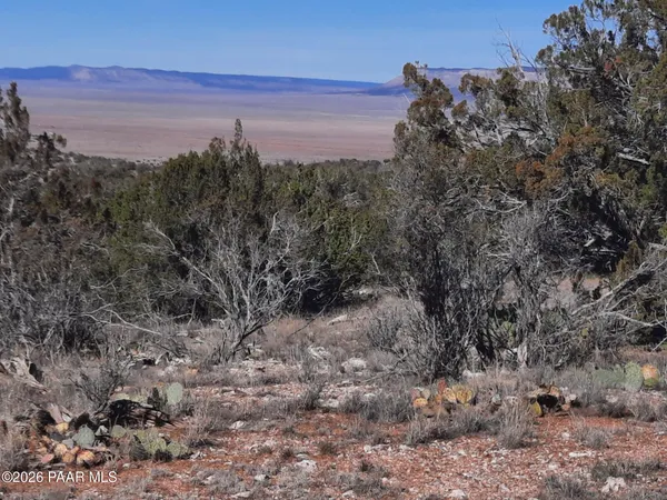 $21,500 | Lot 928 Bridge Canyon Parkway, Seligman, AZ 86337