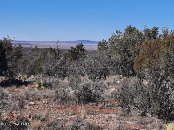 $21,500 | Lot 928 Bridge Canyon Parkway, Seligman, AZ 86337