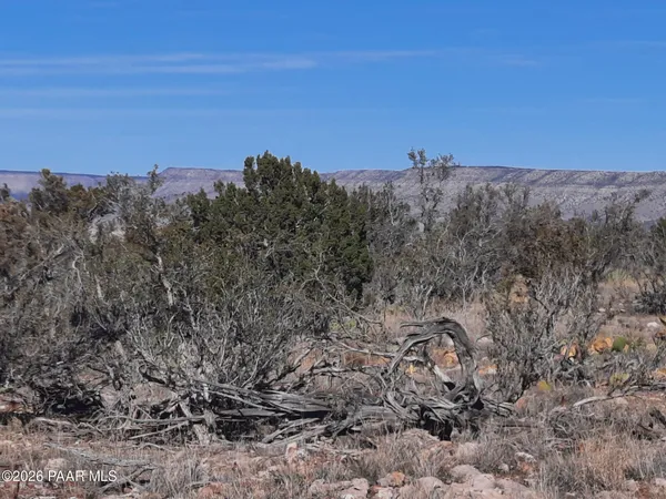 $21,500 | Lot 928 Bridge Canyon Parkway, Seligman, AZ 86337