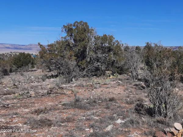 $21,500 | Lot 928 Bridge Canyon Parkway, Seligman, AZ 86337