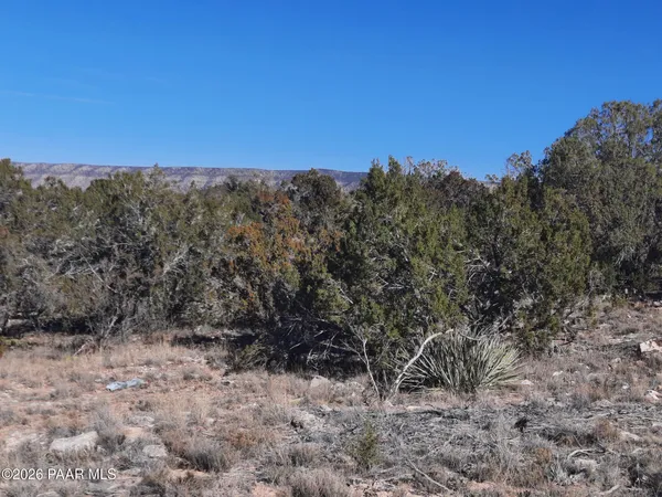 $21,500 | Lot 928 Bridge Canyon Parkway, Seligman, AZ 86337