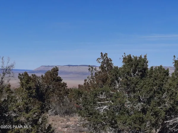 $21,500 | Lot 928 Bridge Canyon Parkway, Seligman, AZ 86337