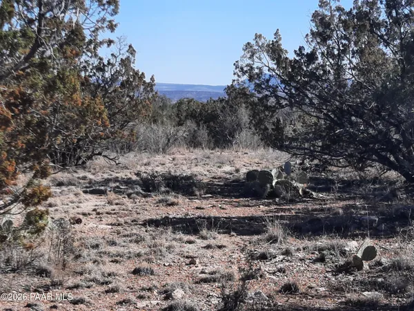 $21,500 | Lot 928 Bridge Canyon Parkway, Seligman, AZ 86337