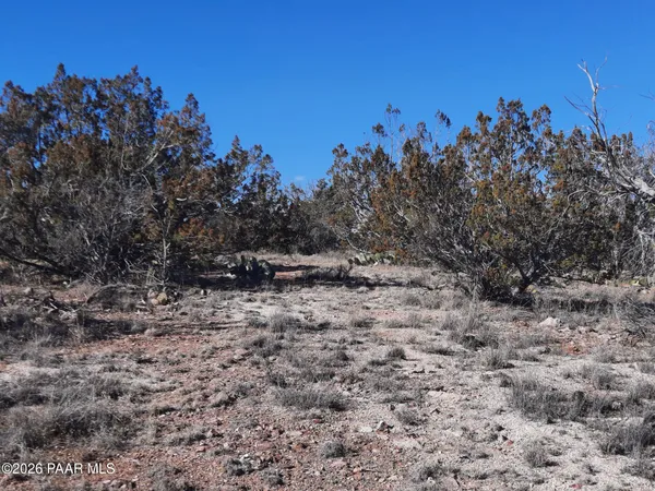 $21,500 | Lot 928 Bridge Canyon Parkway, Seligman, AZ 86337