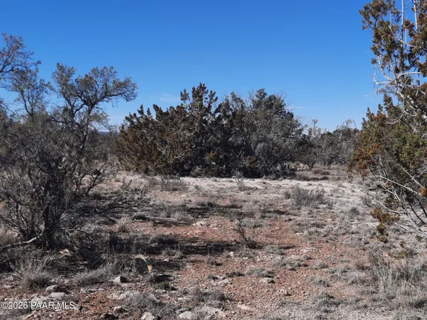 $21,500 | Lot 928 Bridge Canyon Parkway, Seligman, AZ 86337