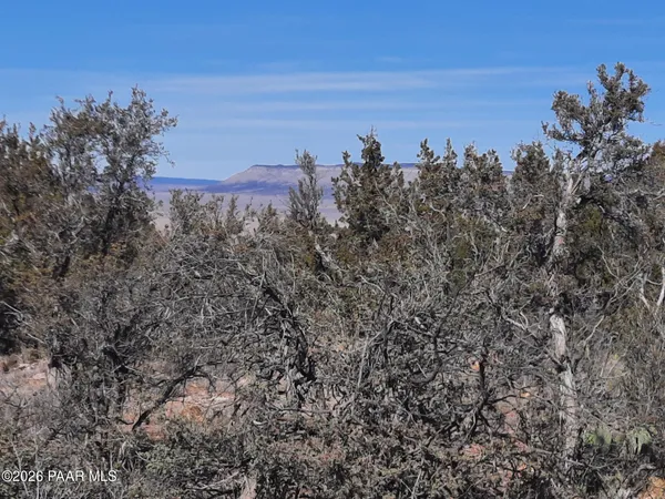 $21,500 | Lot 928 Bridge Canyon Parkway, Seligman, AZ 86337