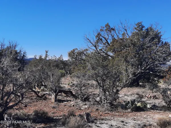 $21,500 | Lot 928 Bridge Canyon Parkway, Seligman, AZ 86337