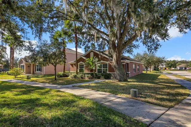 a view of a trees in front of a house