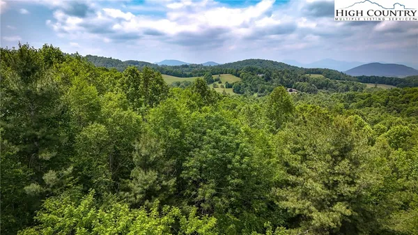 a view of a city with lush green forest