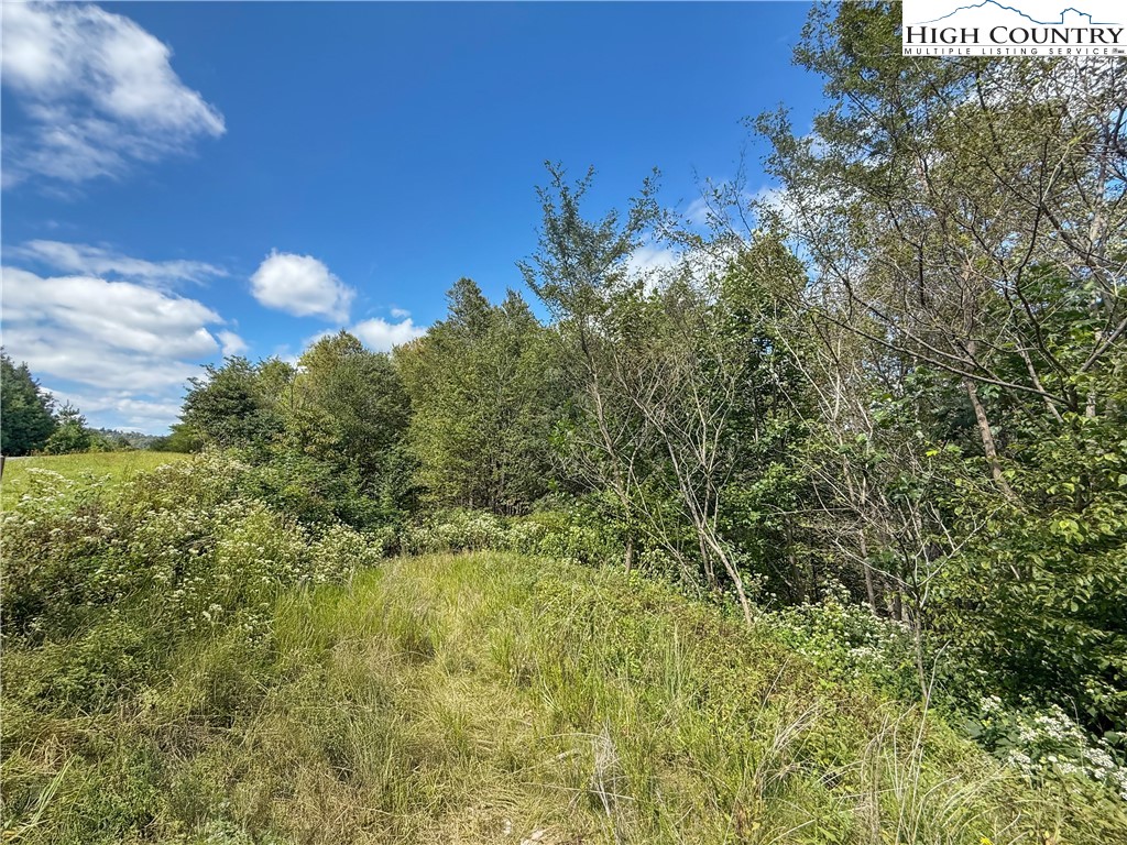 Lot 5 Wapiti Way Boone, NC 28607 - Photo 4 of 9