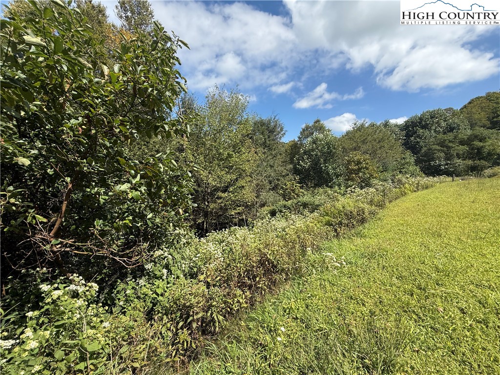 Lot 5 Wapiti Way Boone, NC 28607 - Photo 5 of 9