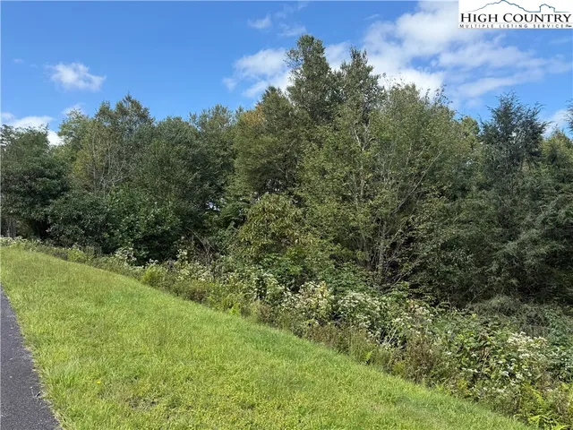 $65,000 | Lot 5 Wapiti Way, Boone, NC 28607