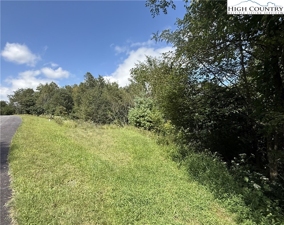 Lot 5 Wapiti Way Boone, NC 28607 - Photo 7 of 13 a view of a yard with a tree