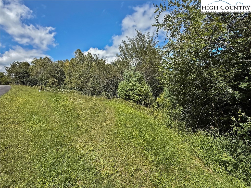 Lot 5 Wapiti Way Boone, NC 28607 - Photo 8 of 9