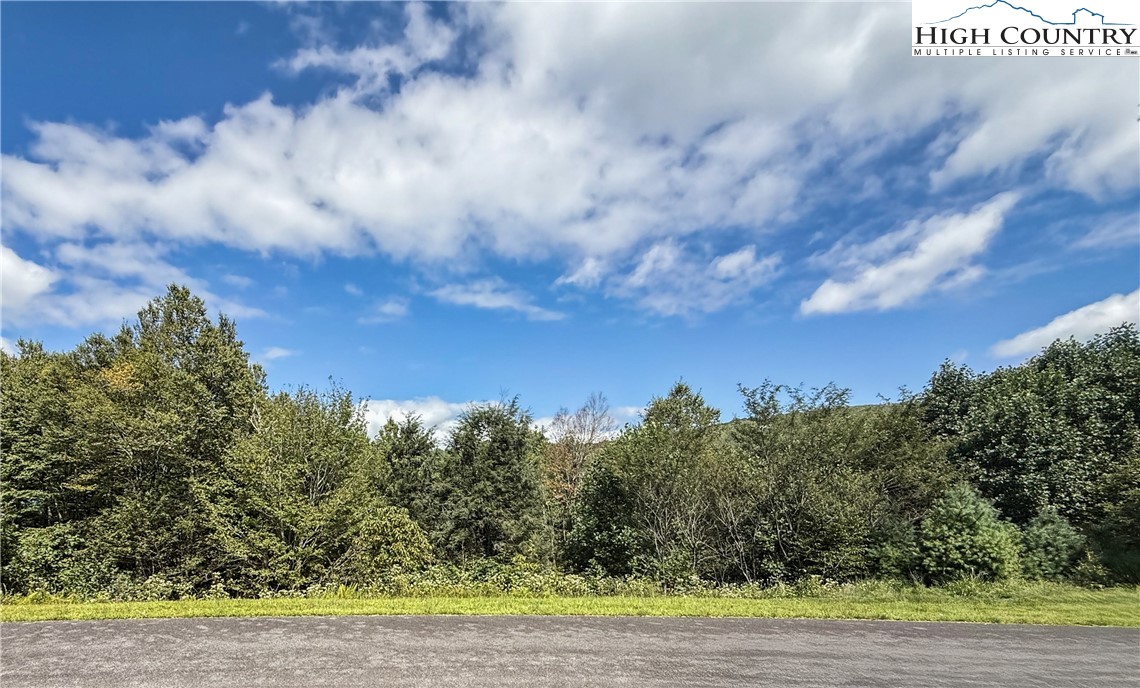 Lot 5 Wapiti Way Boone, NC 28607 - Photo 9 of 9