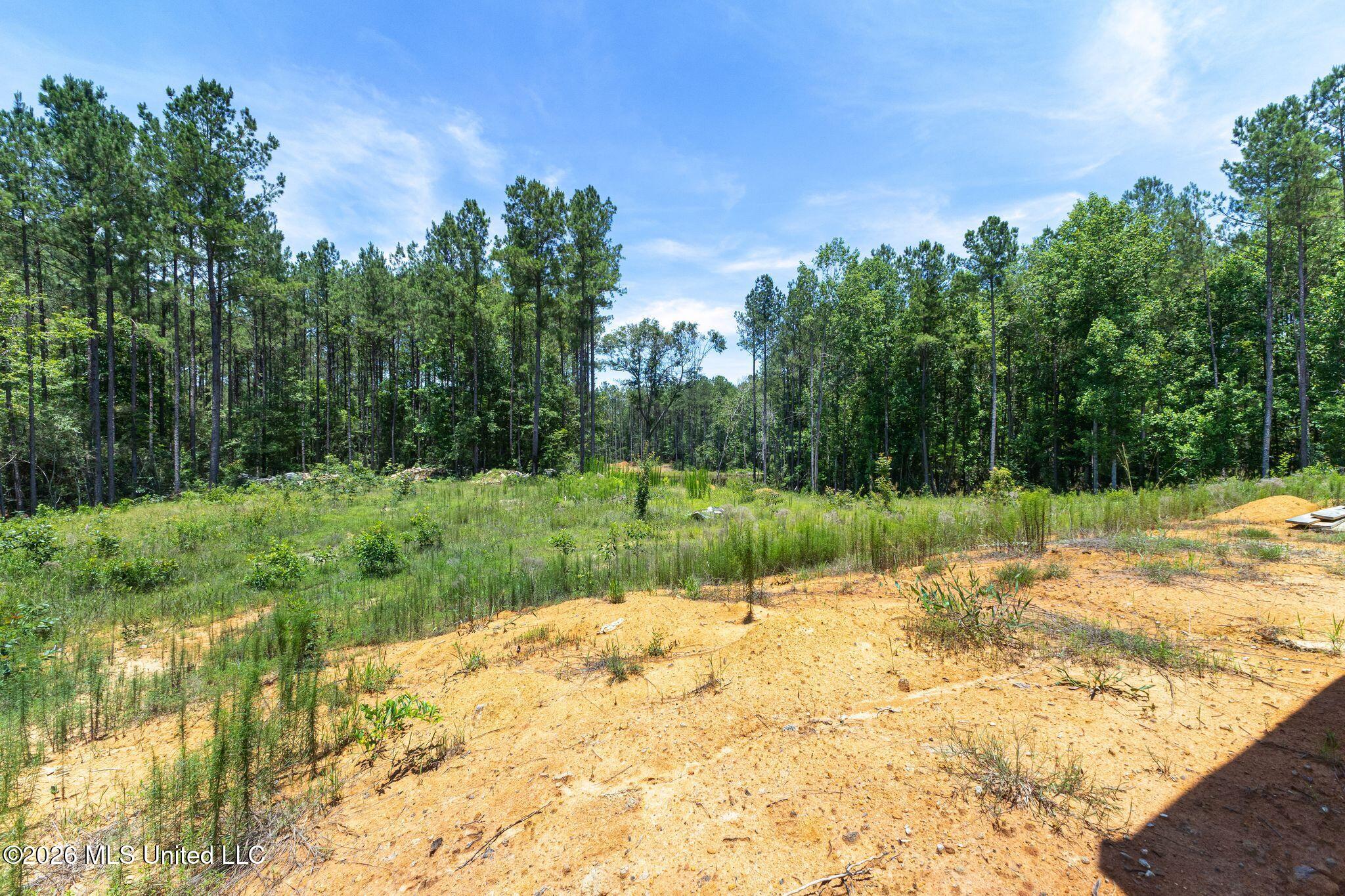 313 Spur Line Road Ellisville, MS 39437 - Photo 17 of 34 313_Spurline-17