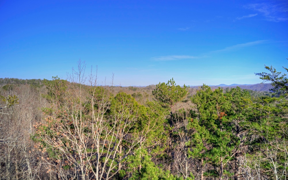 Lot11 Fox Mountain Crossing Blue Ridge, GA 30513 - Photo 1 of 1 Main View
