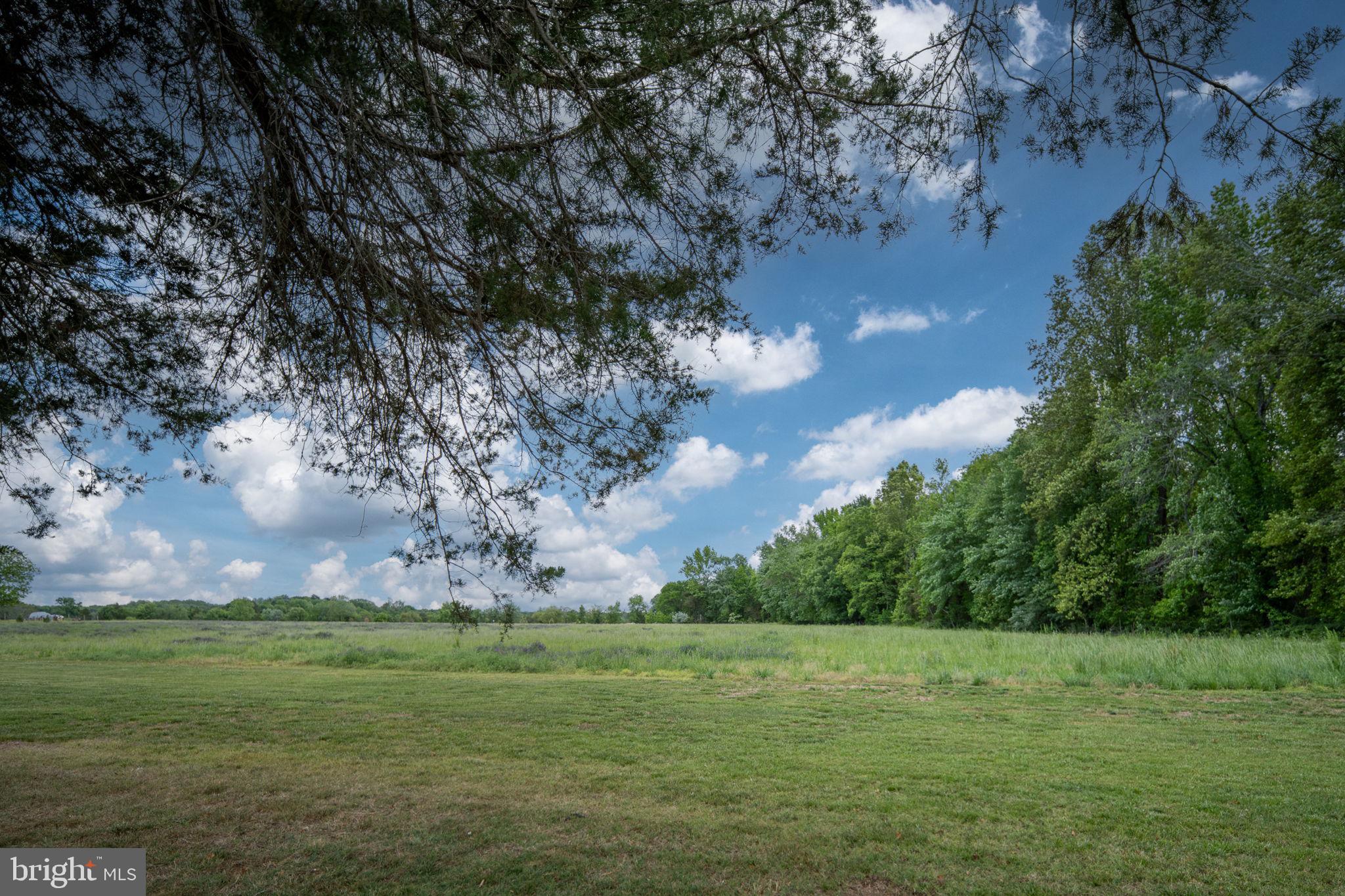 145 Forest Lane Road Fredericksburg, VA 22405 - Photo 95 of 109