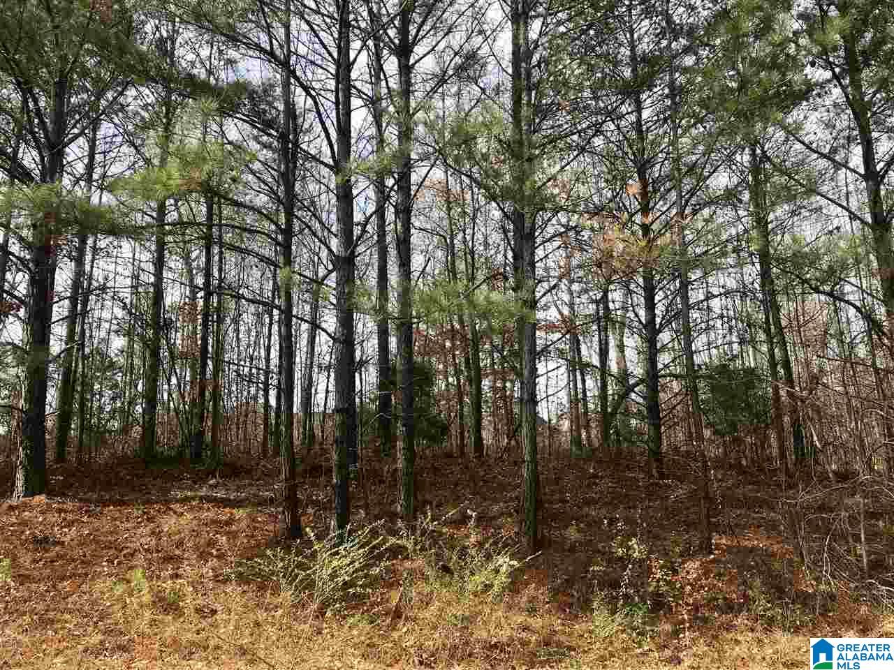 0 Bradford Place, Unit 29 Decatur, AL 35603 - Photo 3 of 4