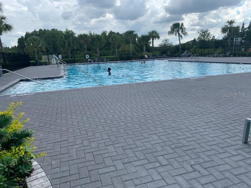 1550 Ranchette Road Wesley Chapel, FL 33543 - Photo 26 of 30