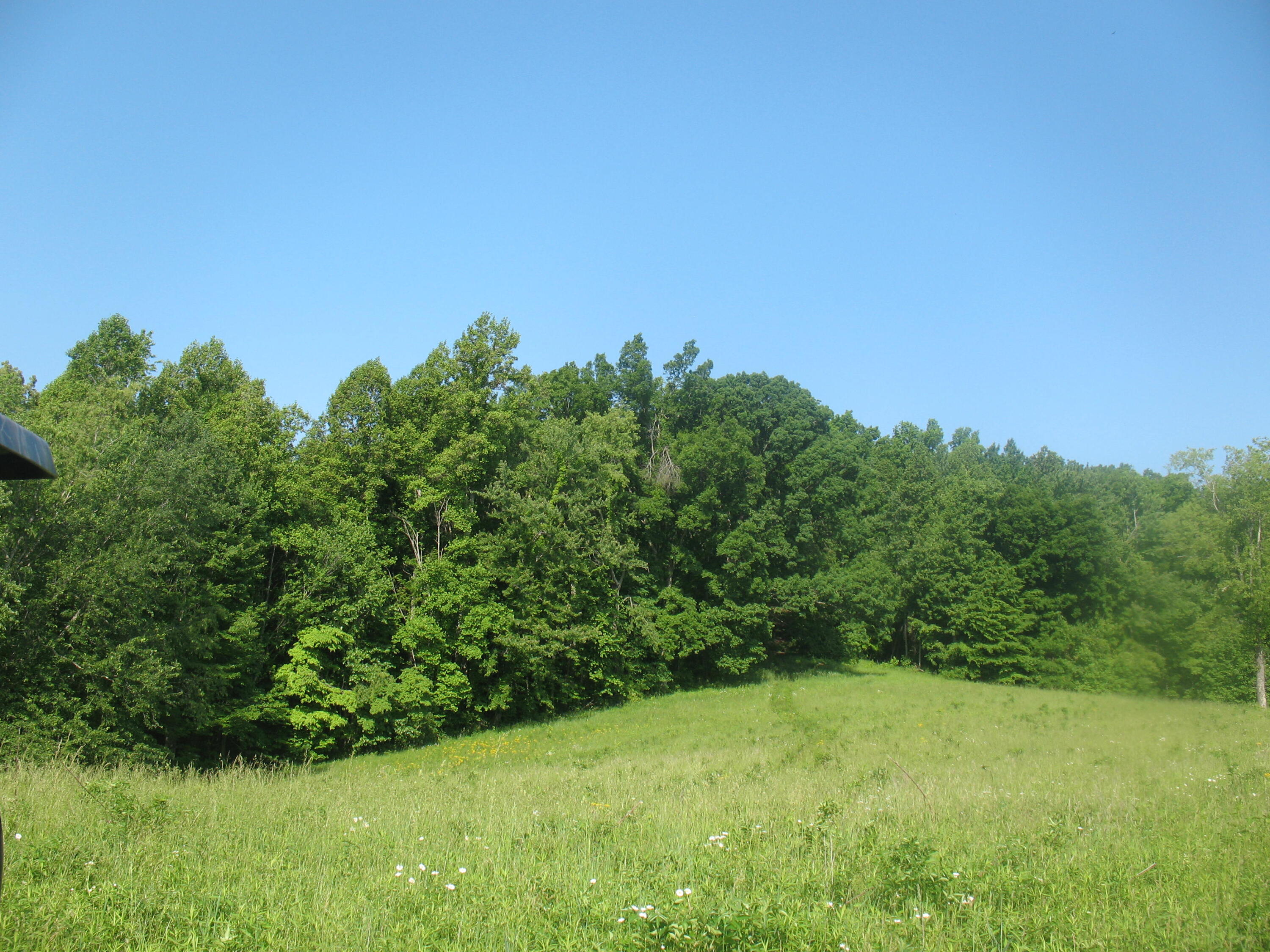 9999 Rudder Lane London, KY 40741 - Photo 30 of 33 IMG_4330