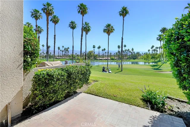 a view of a garden with a palm tree