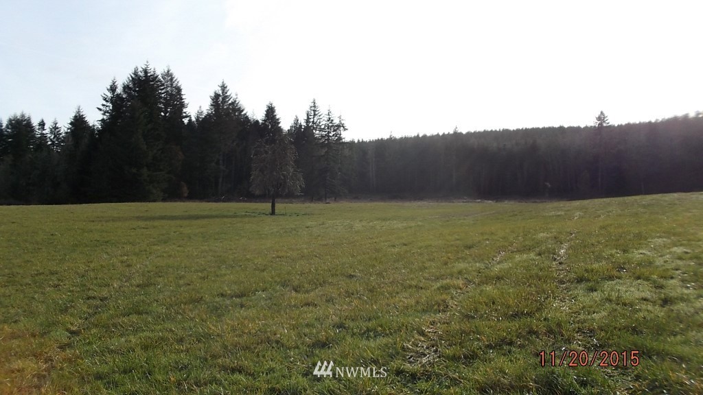 934 Pe Ell McDonald Road Chehalis, WA 98532 - Photo 11 of 20