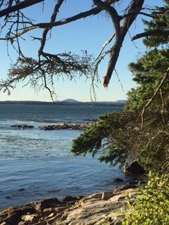 5 B Wilderness Shore Road Steuben, ME 04680 - Photo 1 of 4 IMG_0684